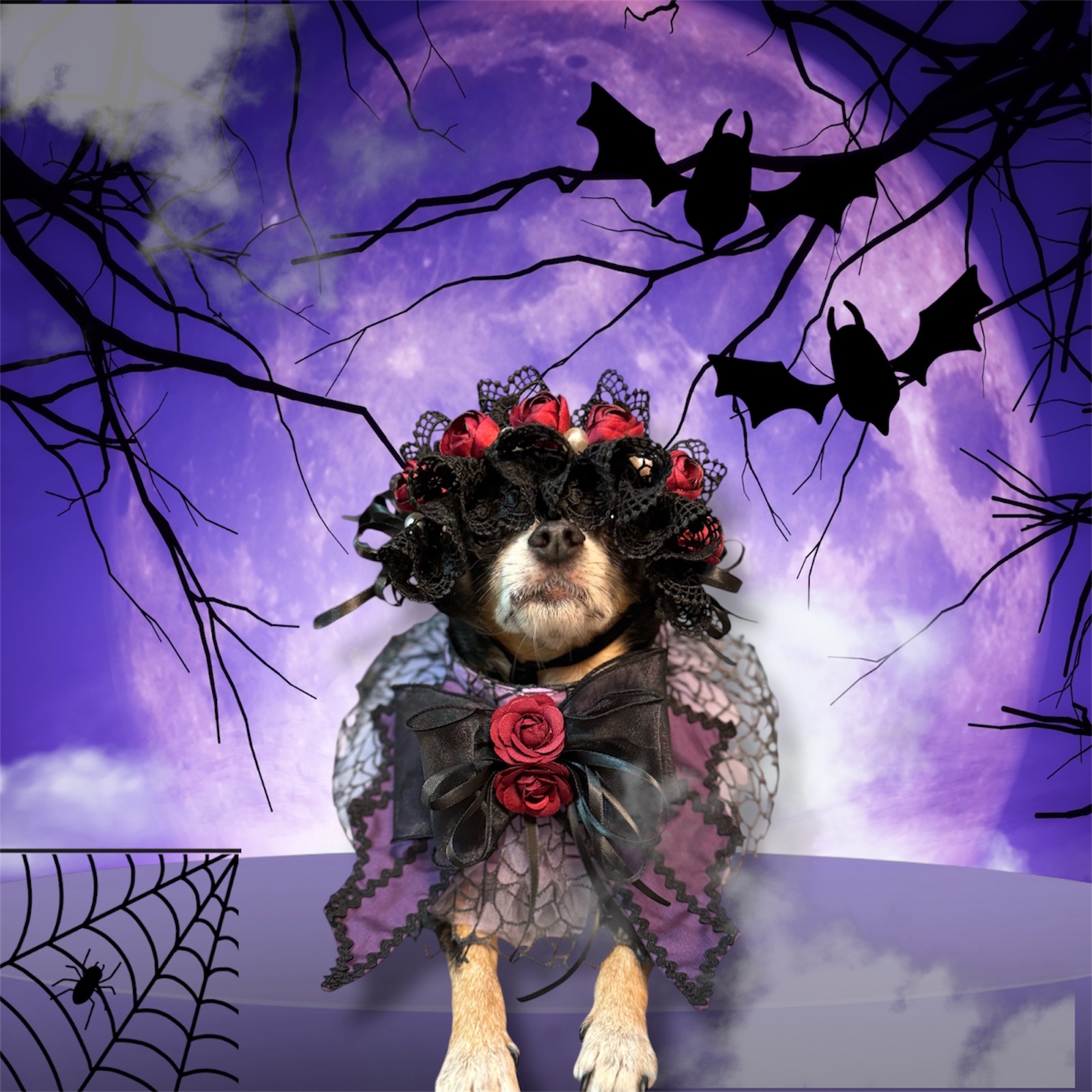 寵物手作 Halloween 暗黑者 歌德風 頸飾