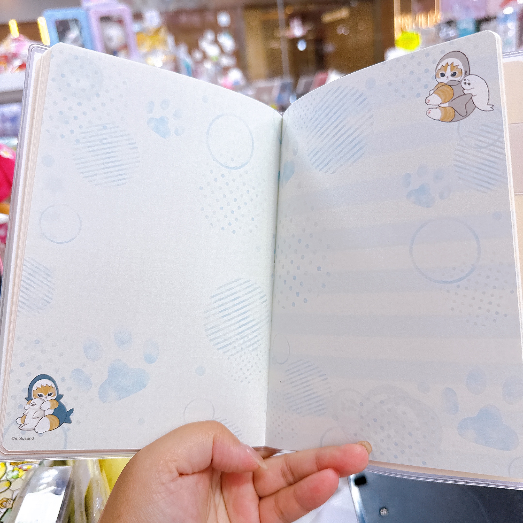 日本直送日本版鯊魚貓2027年schedule book
