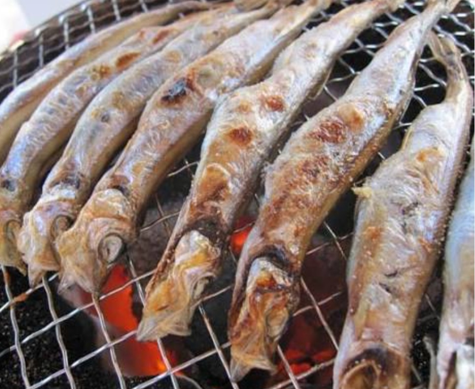 🇮🇸急凍冰島多春魚 8 條/碟