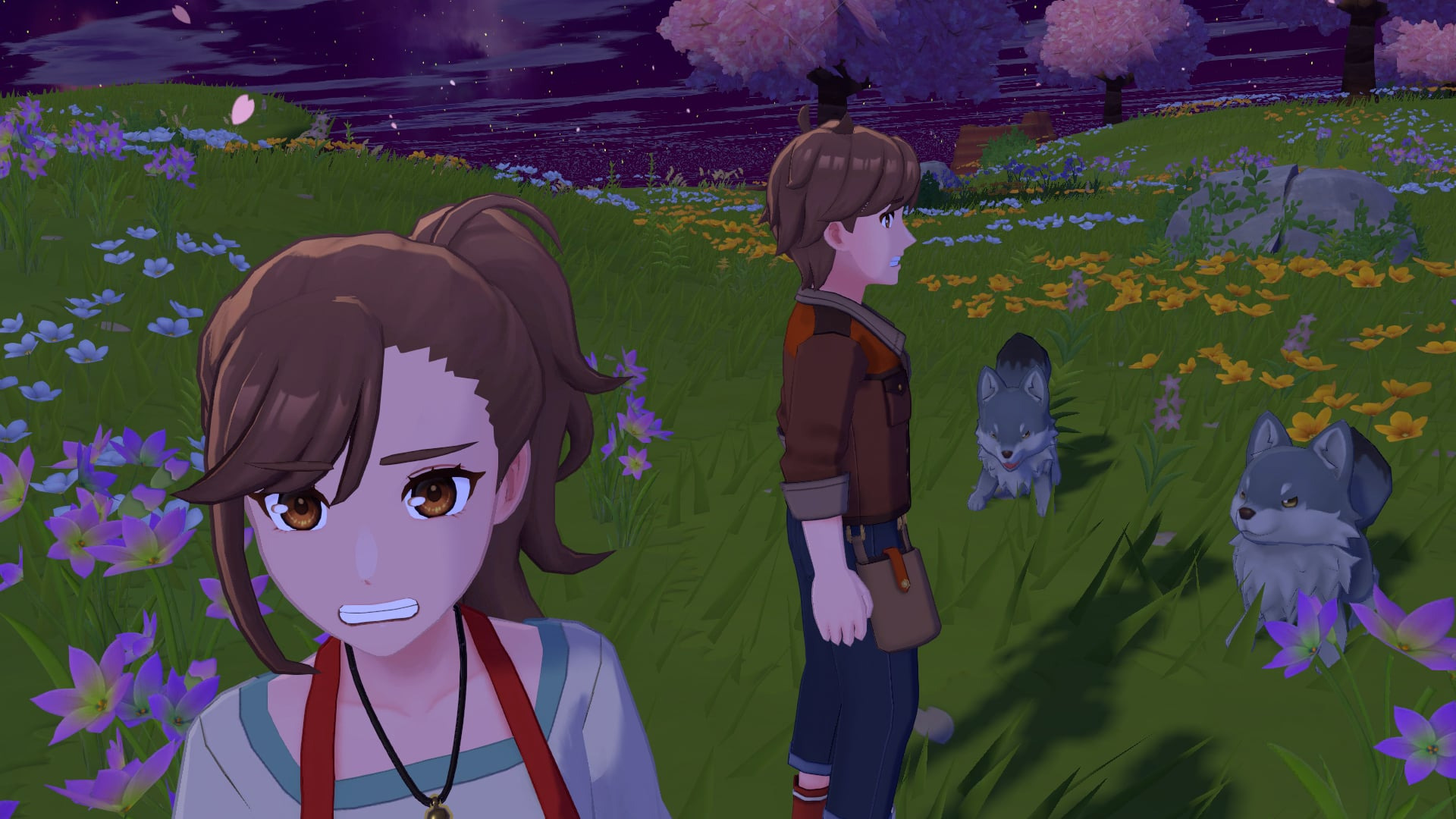 【預售 15/10】NS 牧場物語：特拉迪亞的迴響 Harvest Moon: Echoes of Teradea 中/英/日文  (中文封面) PO1179