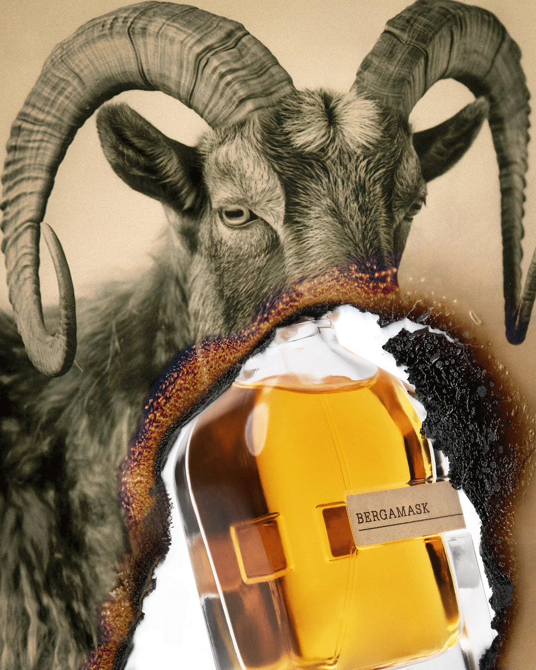 Bergamask - Orto Parisi