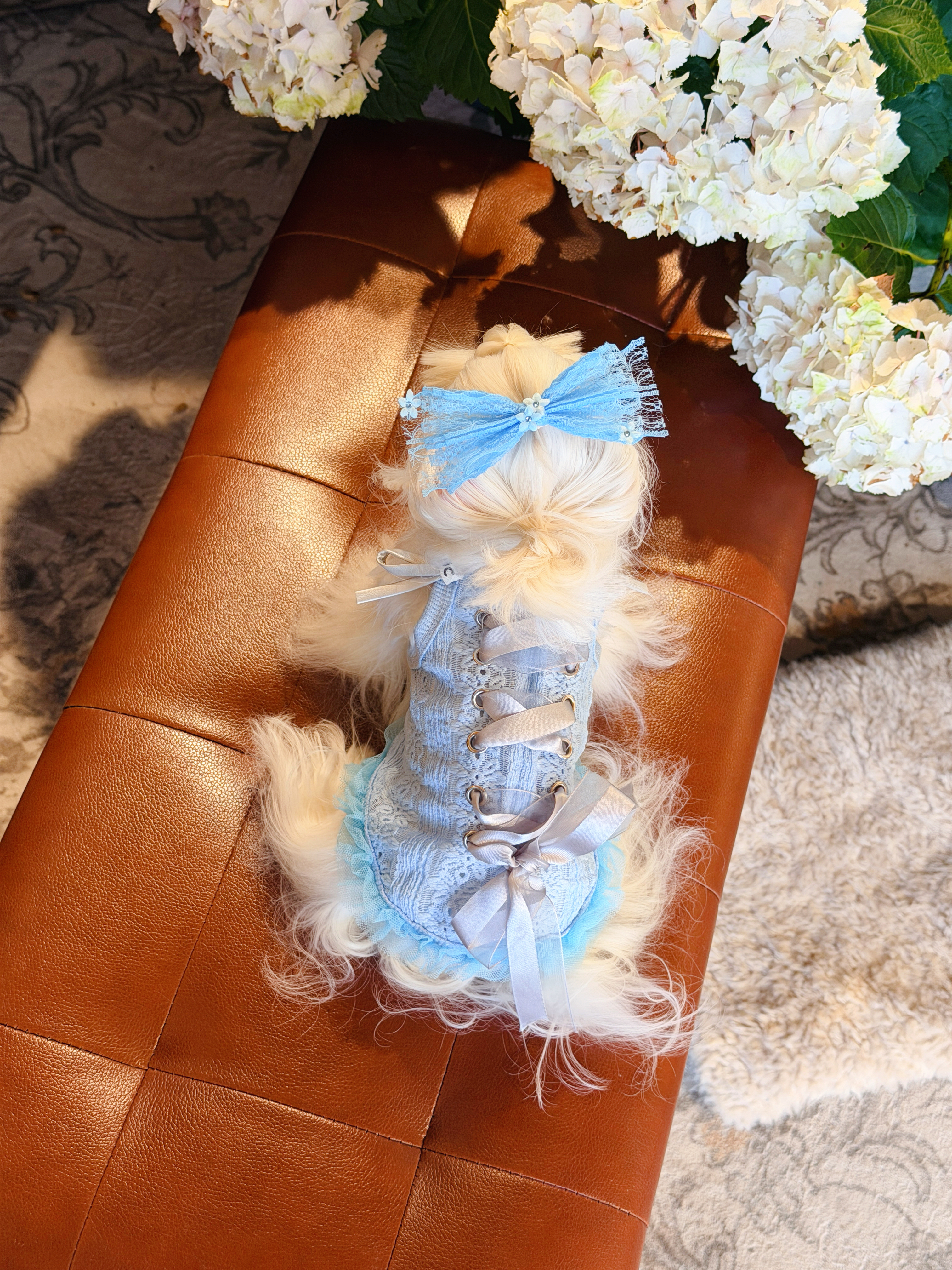 Ocean Ballet Dress