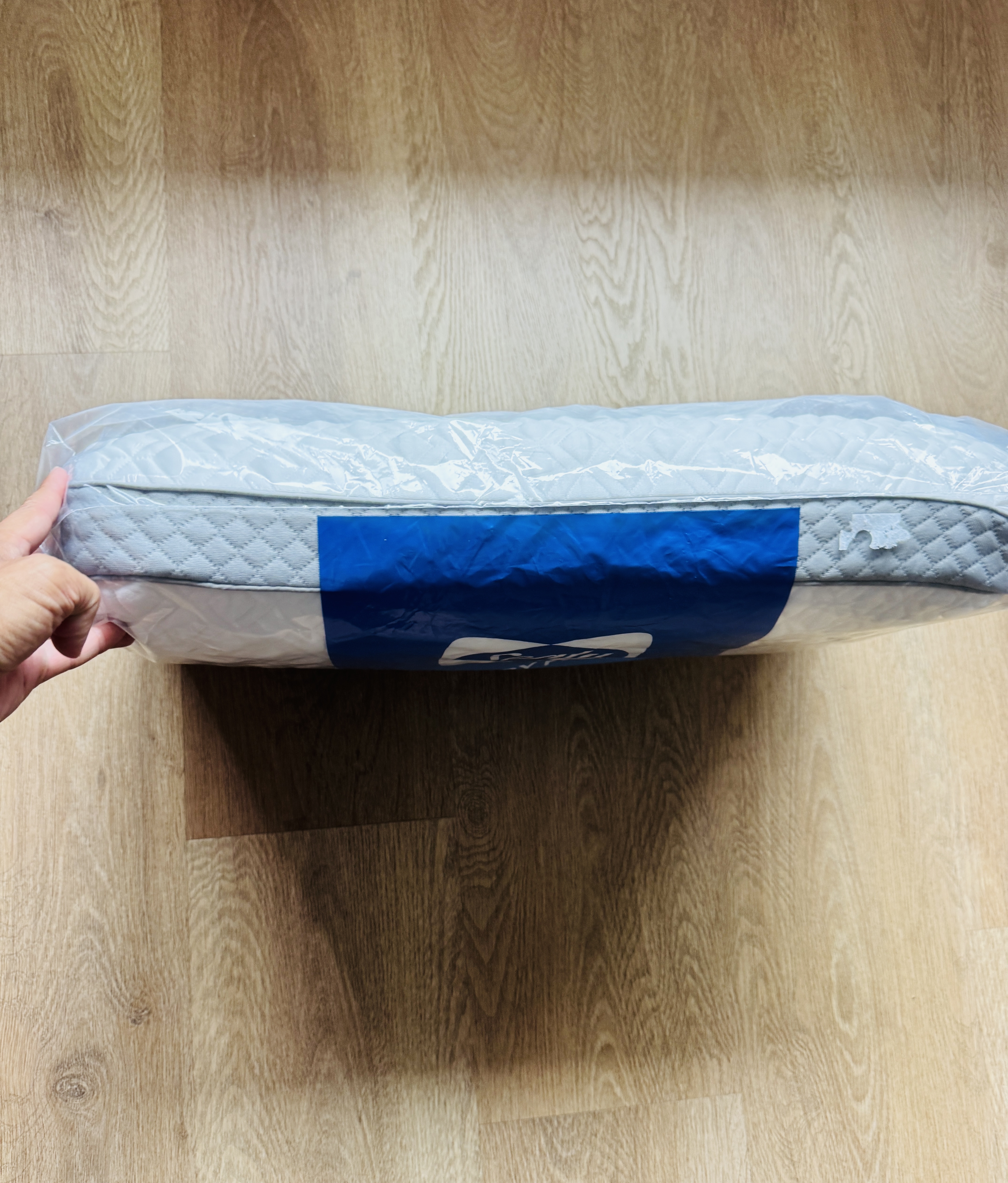 💤 Sealy 記憶棉枕頭｜美國品牌．舒適承托．香港少量現貨