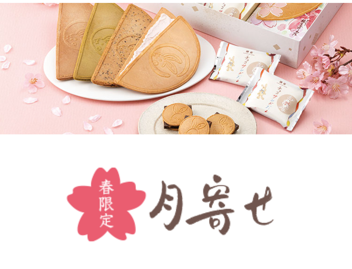 日本直送春季限定版 櫻花春季限定版5入/10入