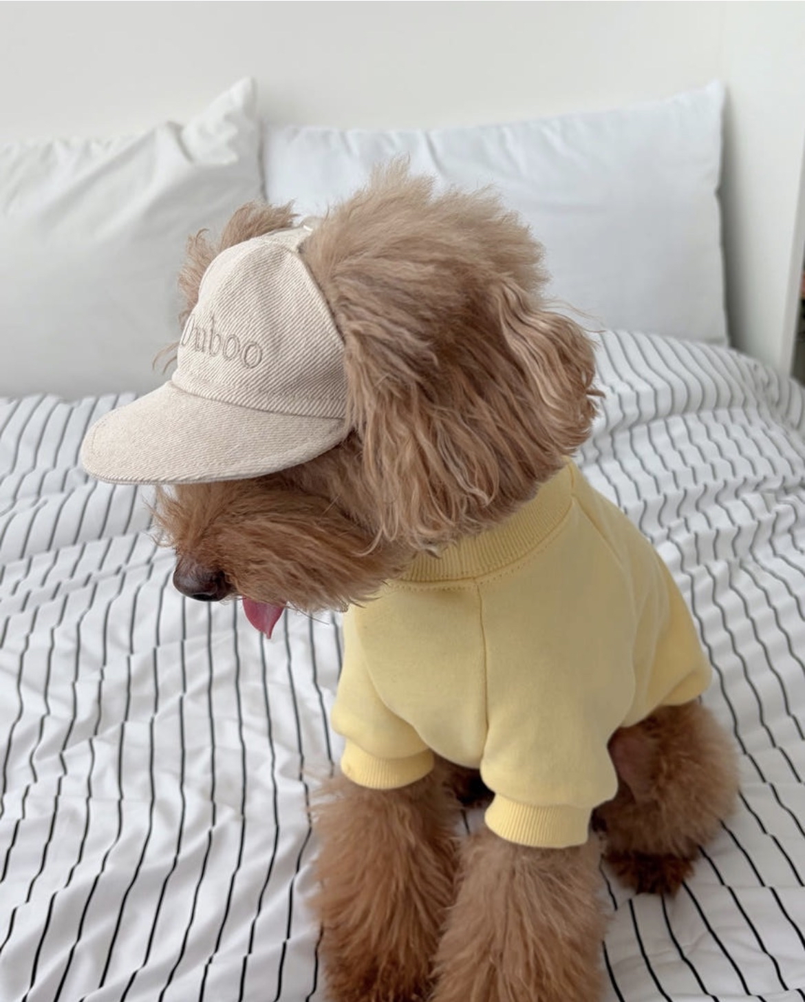 韓國🇰🇷 Confetti Naming Ball Cap