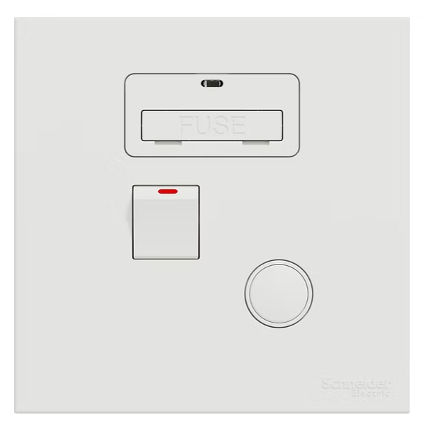 施耐德 奐然AvatarOn C 白 13AFuse有掣有燈 接線蘇