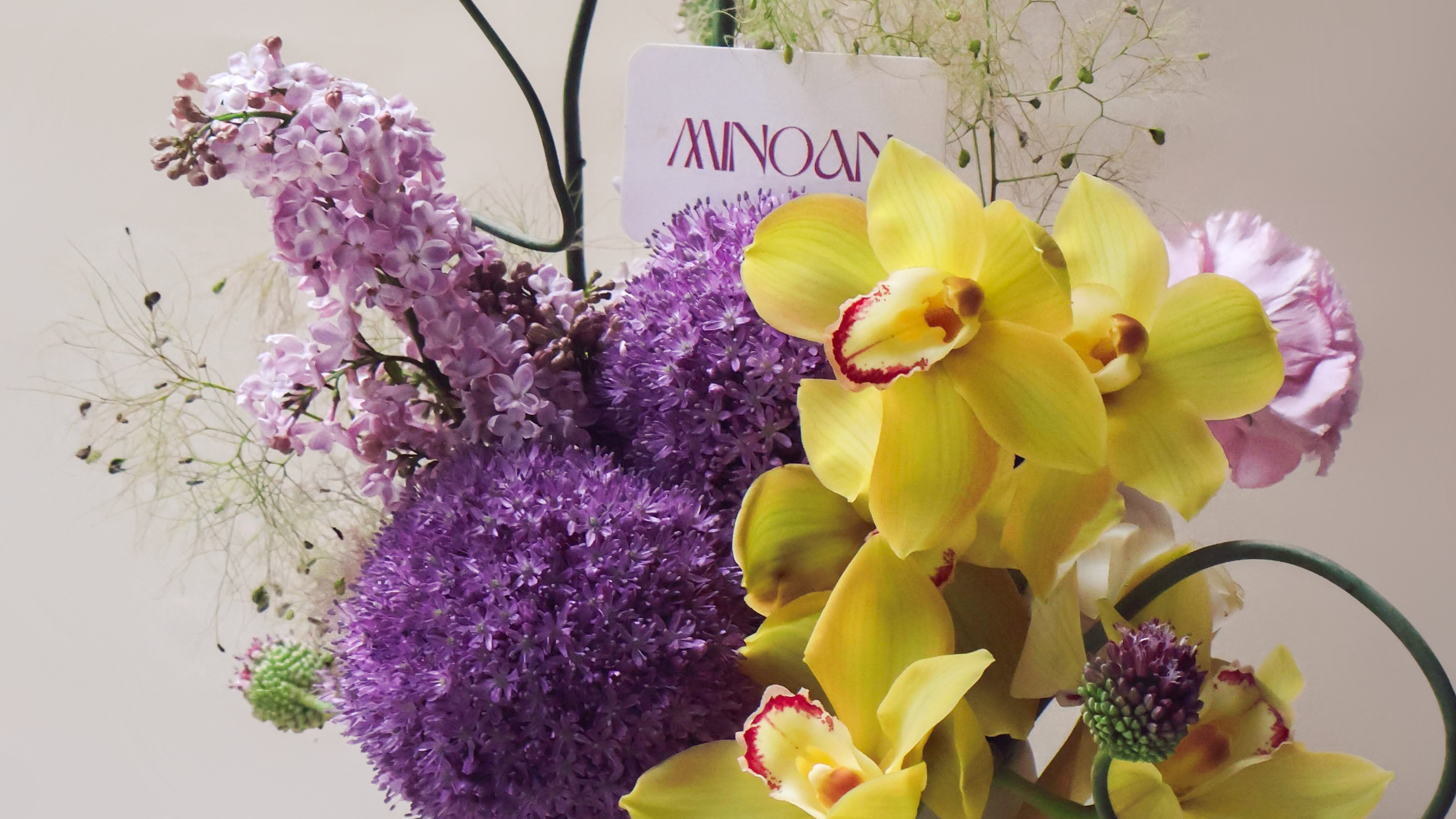 Desktop image