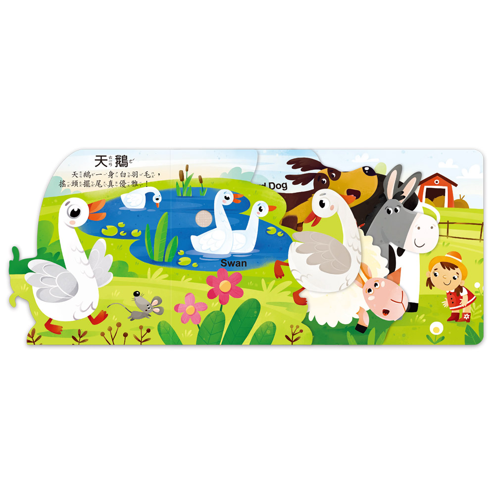 聽，什麼聲音？農場動物園