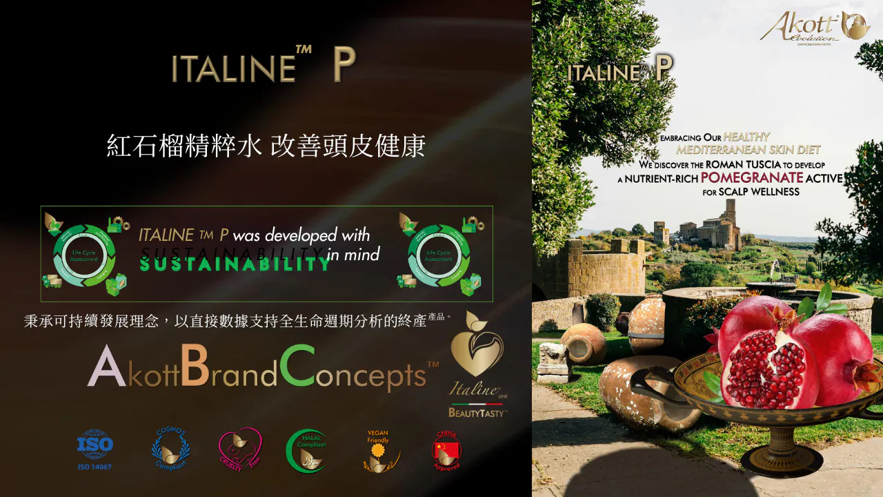 CGB ITALINE™ P Scalp Relieve Shampoo 抗衰老控油活髮洗髮露 300ml 