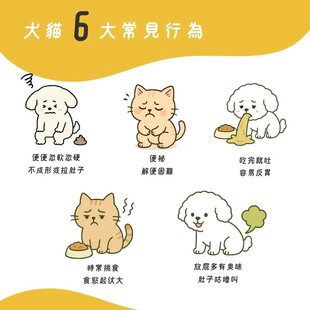 【台灣寵愛毛毛・惜命命腸胃益生菌】