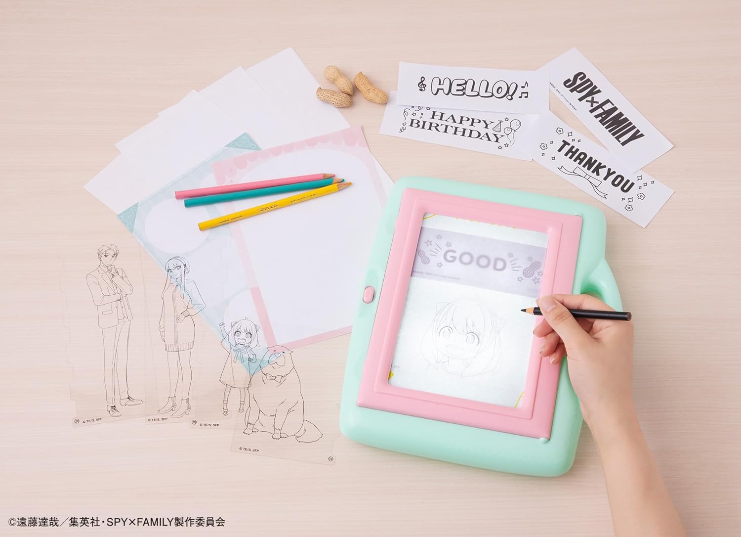 SPY x FAMILY 發光描圖畫板 兒童繪畫玩具 臨摹畫畫板 發光畫板 6歲以上 vbuy