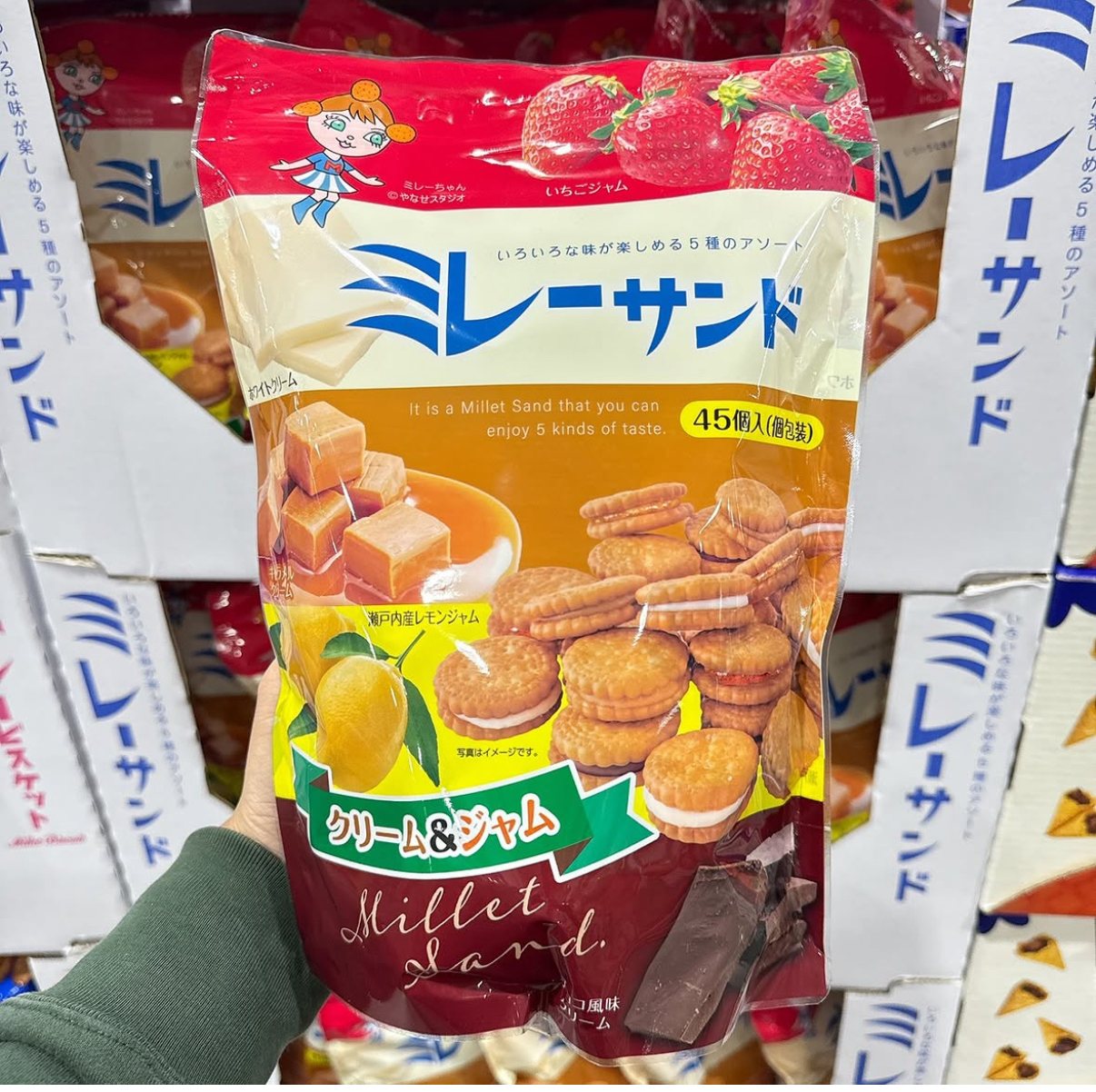 日本Costco小圓餅夾心綜合5口味 -