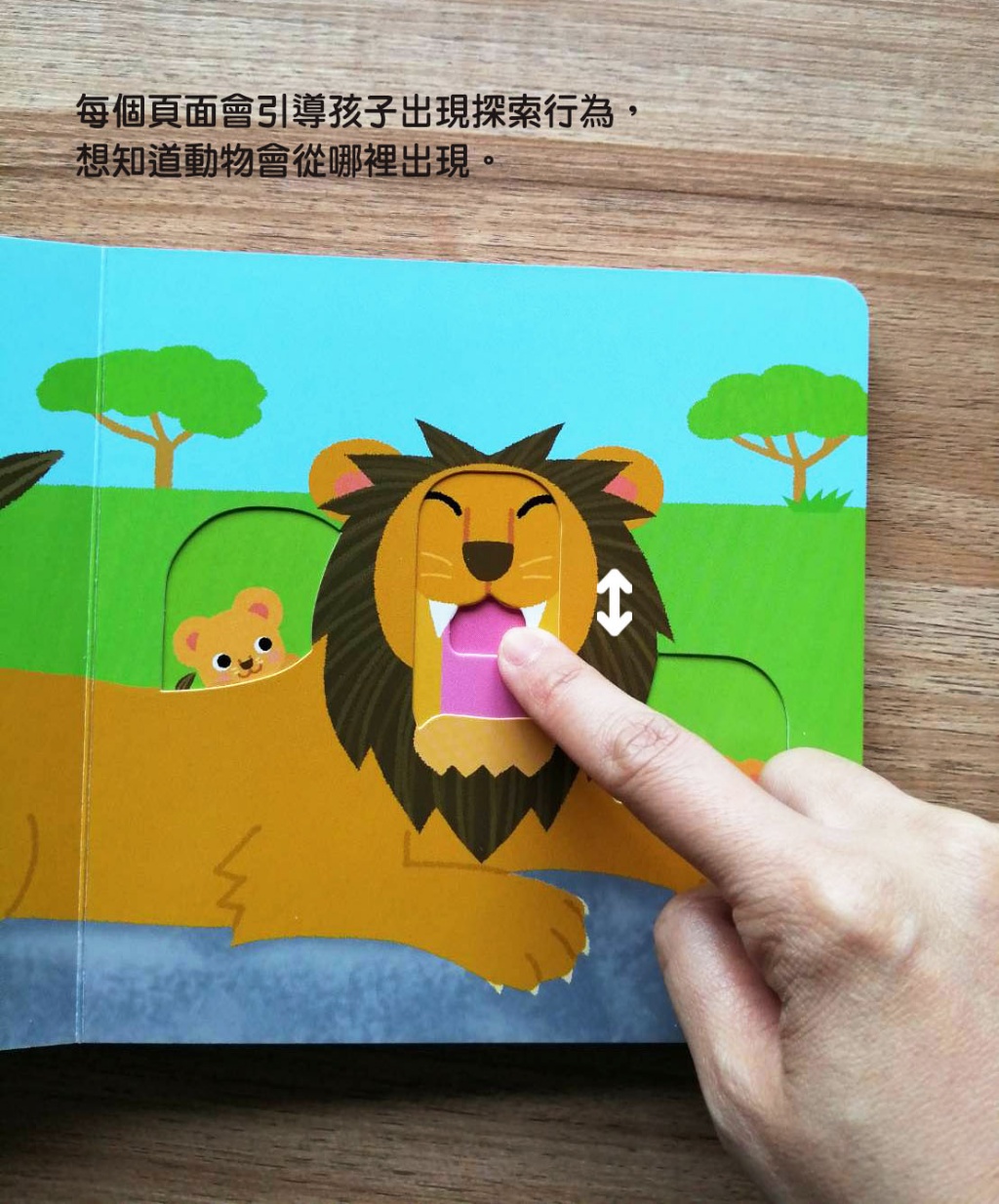 🔸預購貨品🔸寶貝在哪裡【0~3歲寶寶全腦開發遊戲書】