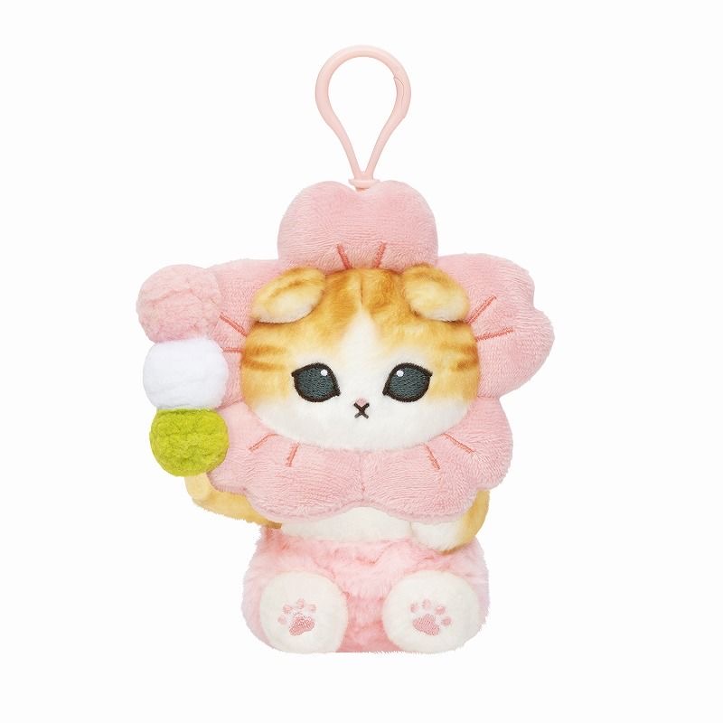 Cute cat