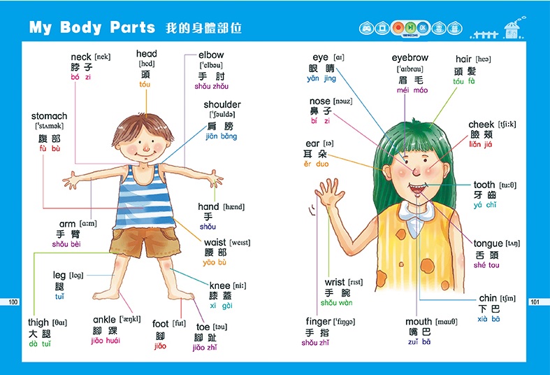 峰芸 英漢圖畫字典 點讀書