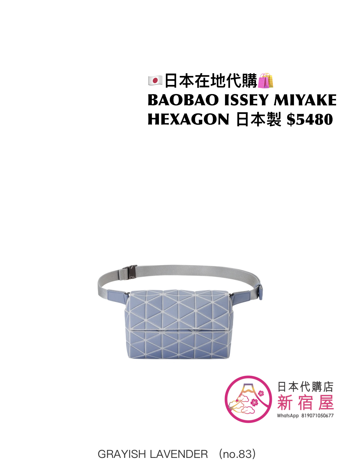 BAOBAO ISSEY MIYAKE HEXAGON