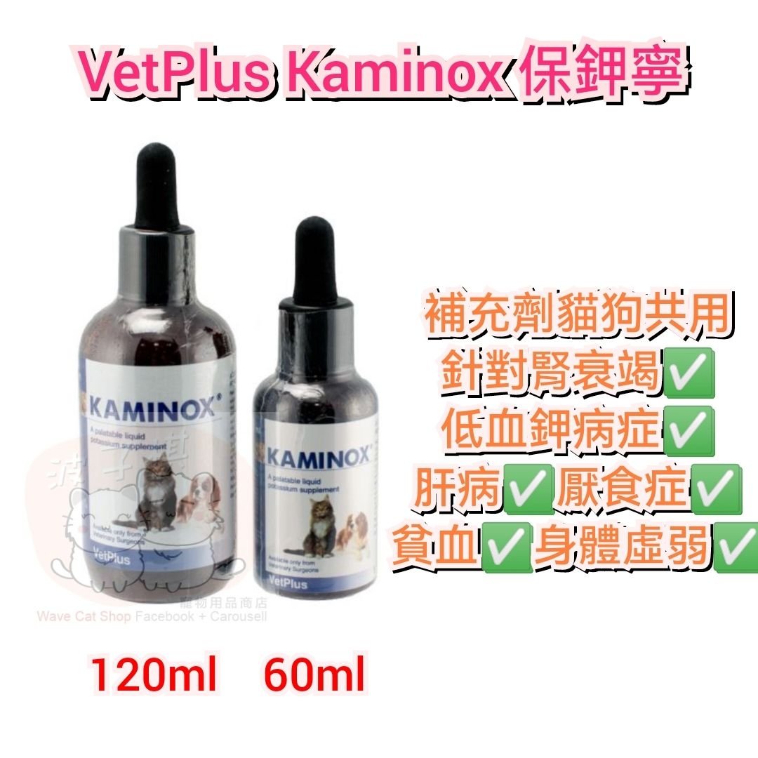 Kaminox 2024 for cats