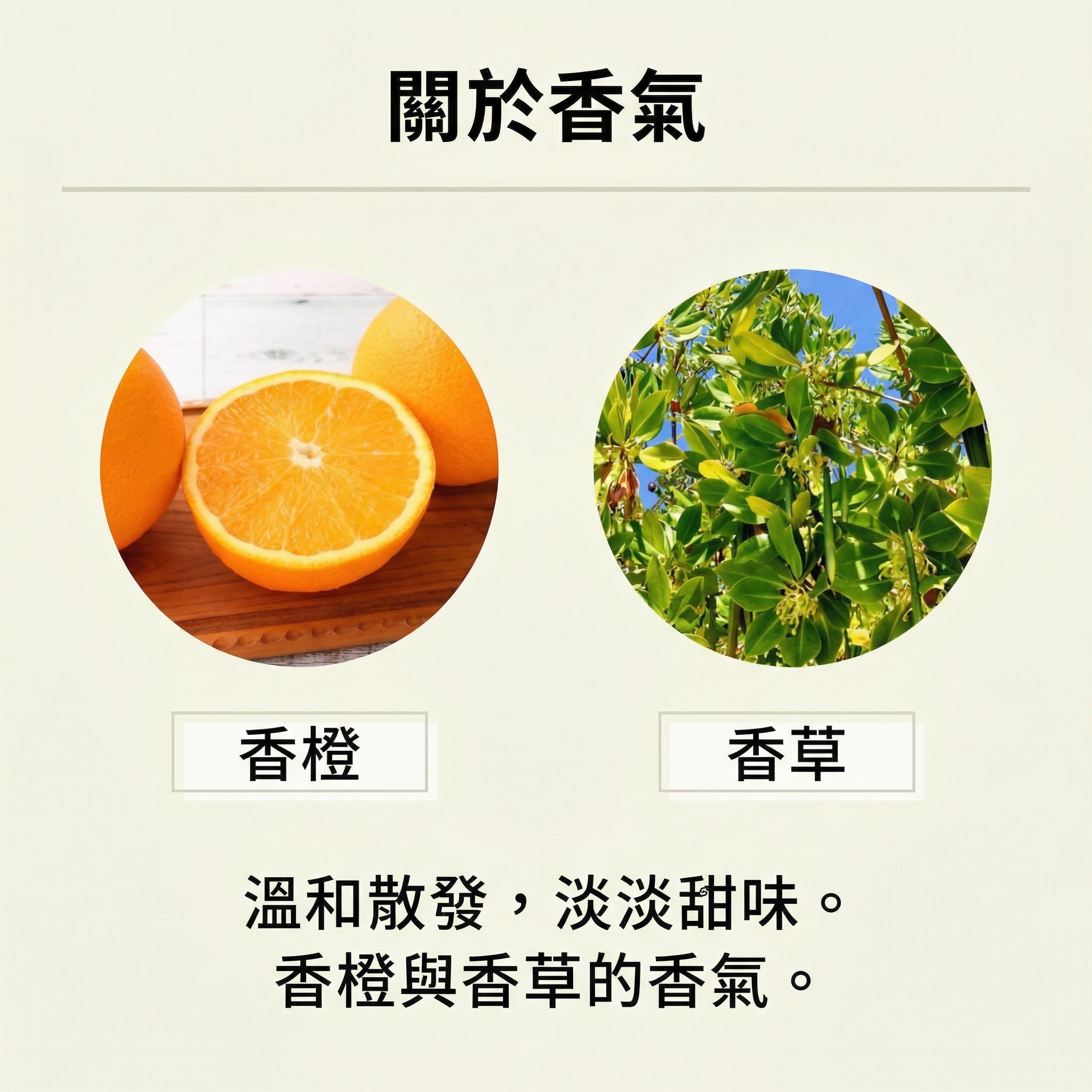 My Secret Cosmetics 超強保濕霜【日本製】