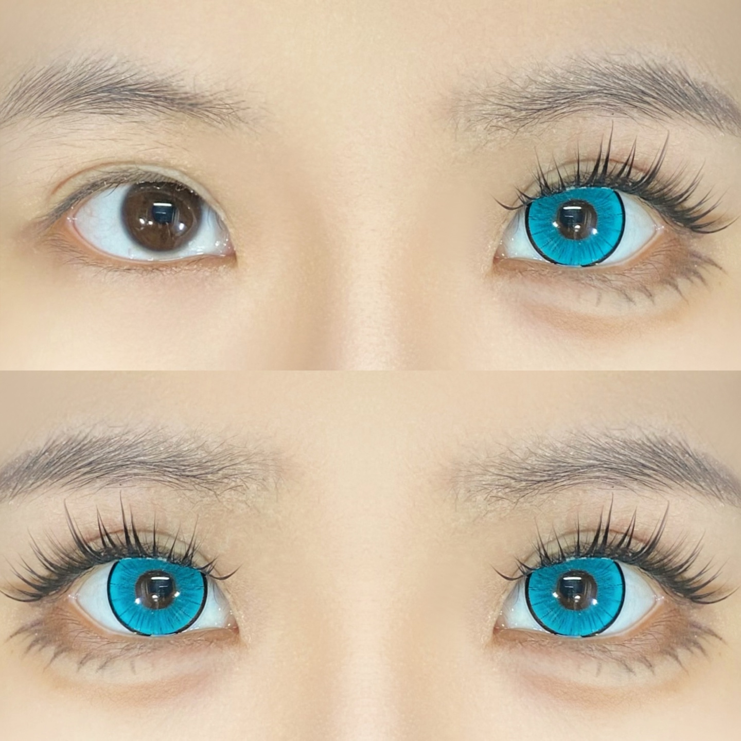 Dgugulens 日拋 搞點東西系列