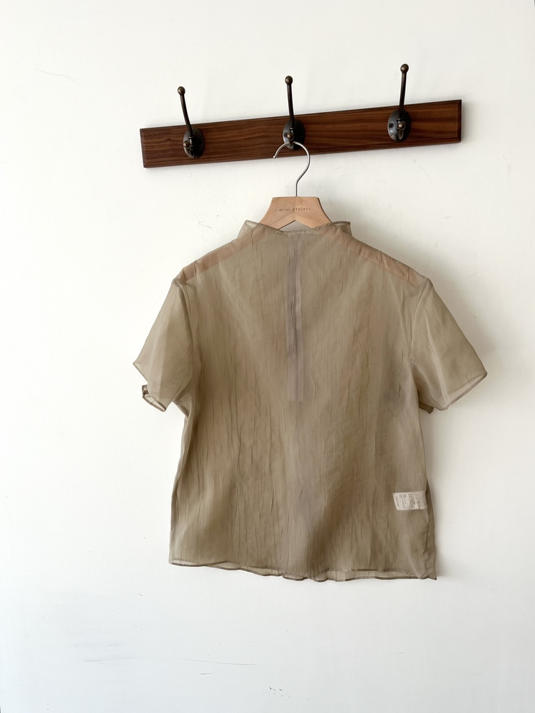 Airy Sheer Crinkle Top (Brown)