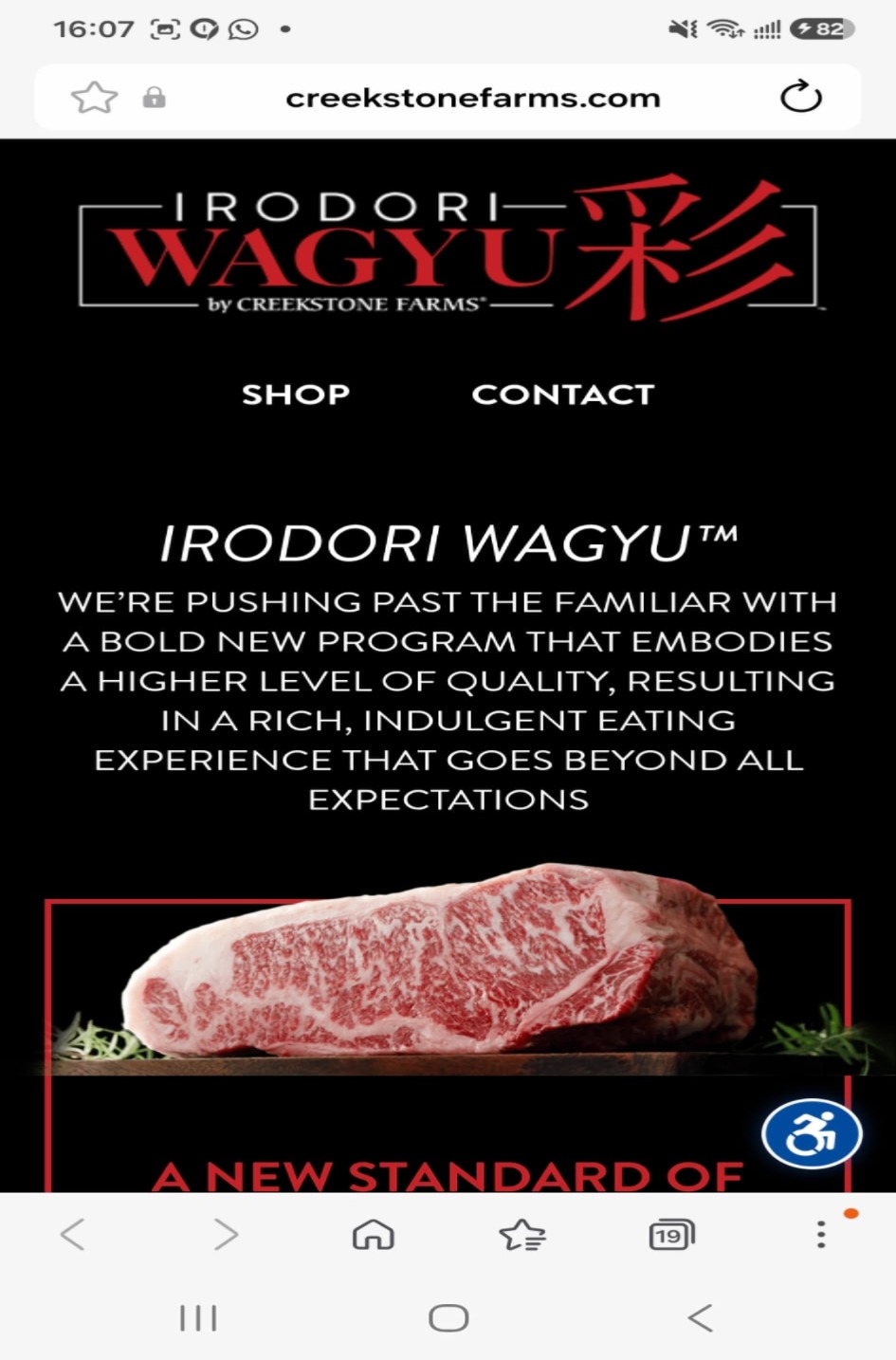 Irodori 和牛免治 454G