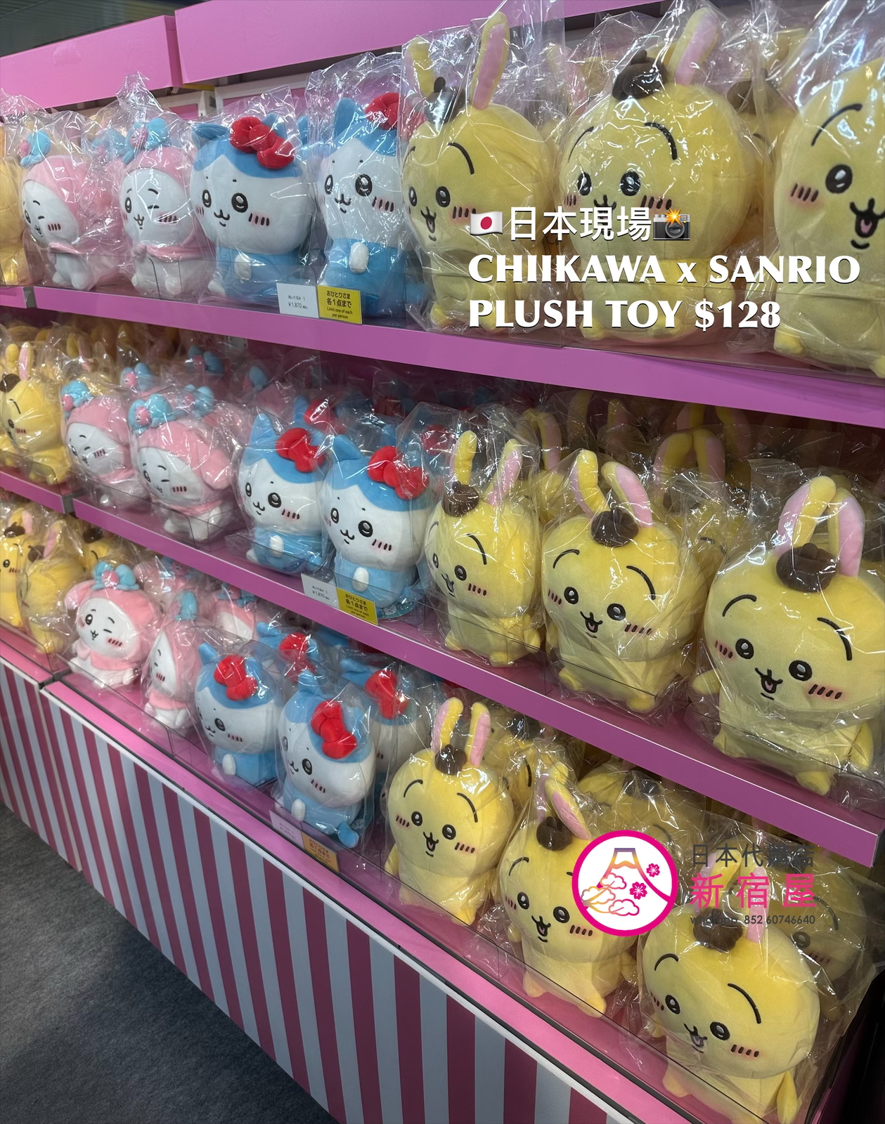 CHIIKAWA x SANRIO PLUSH TOY