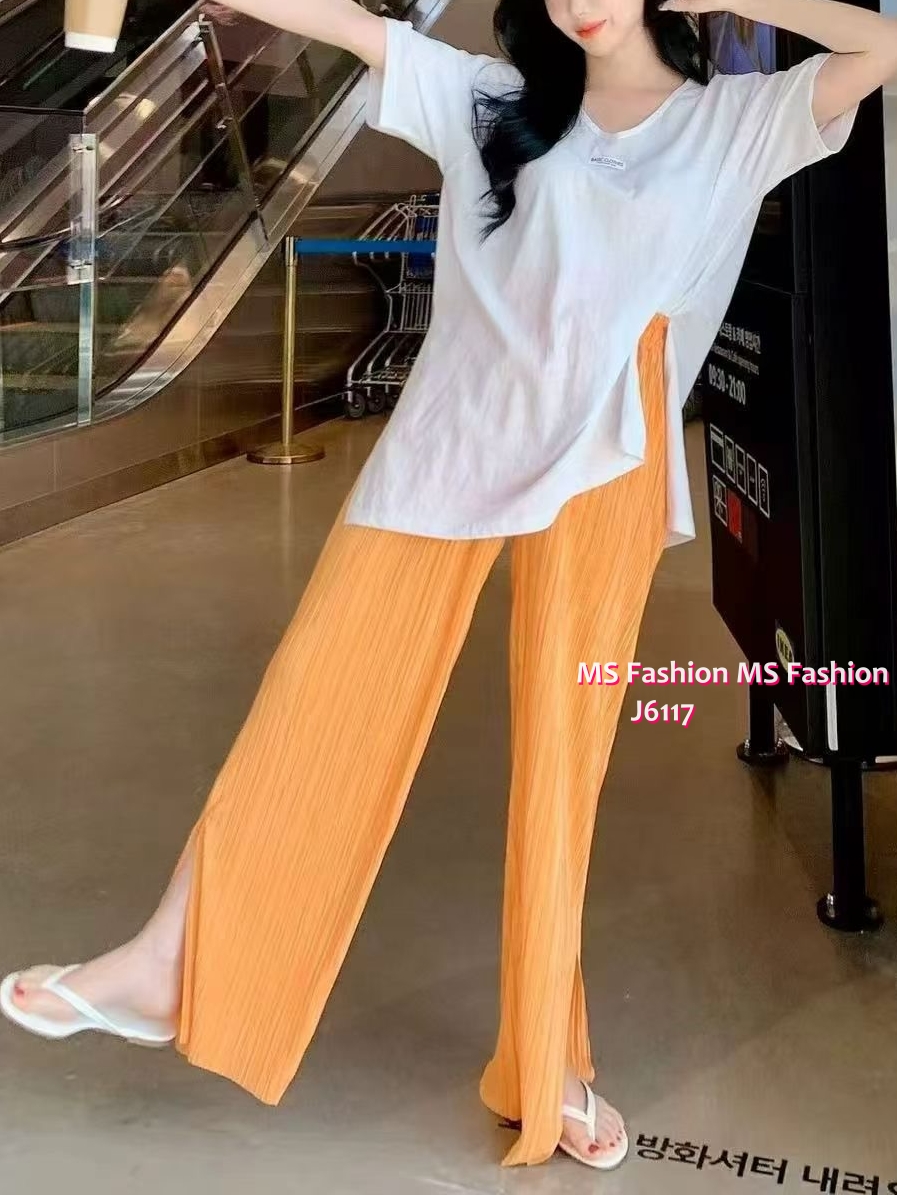 J6117 靚色直紋褲