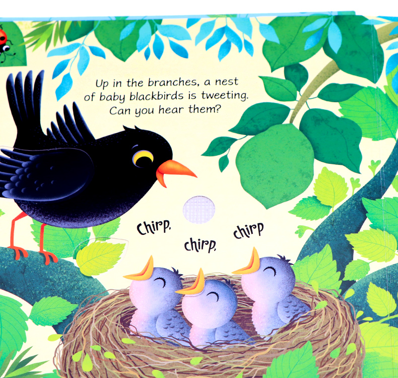 Usborne Bird Sounds book鳥類奇妙觸摸發聲書 