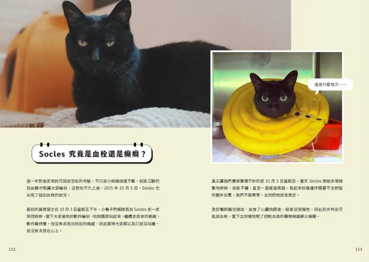 黃阿瑪的後宮生活9︰幸福的模樣