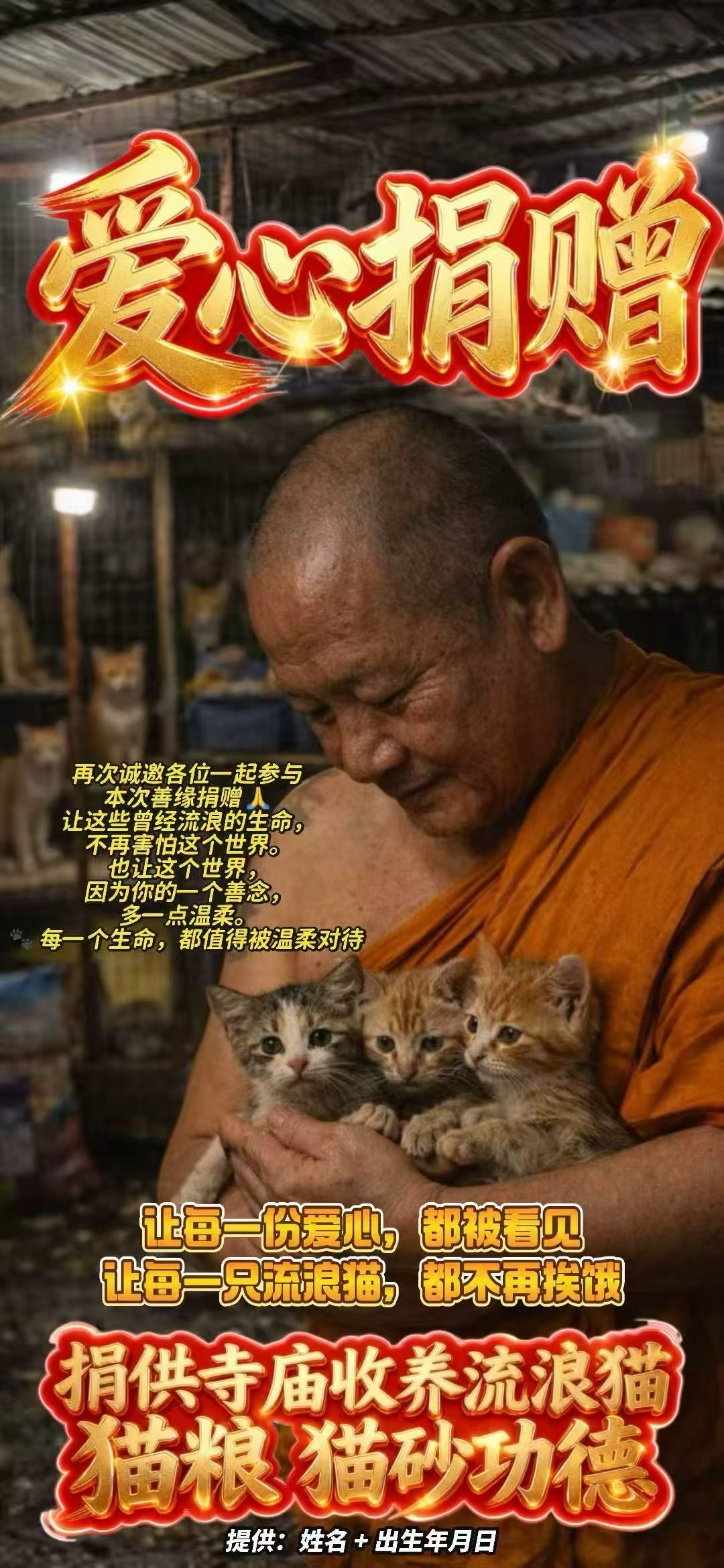 3.28捐貓糧 捐貓砂  幫助僧侶救助流浪貓