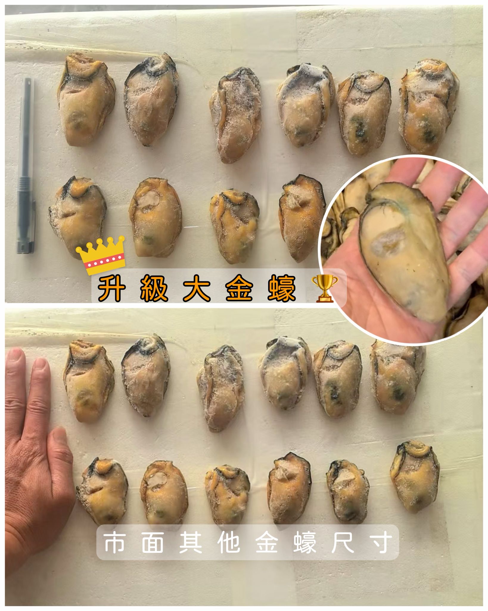 生曬大大金蠔250g（9-11隻）