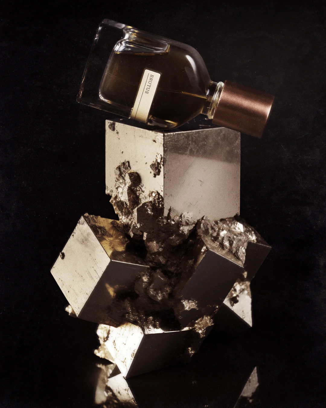 Brutus - Orto Parisi