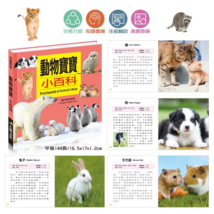 酷樂 小百科系列: 動物寶寶小百科