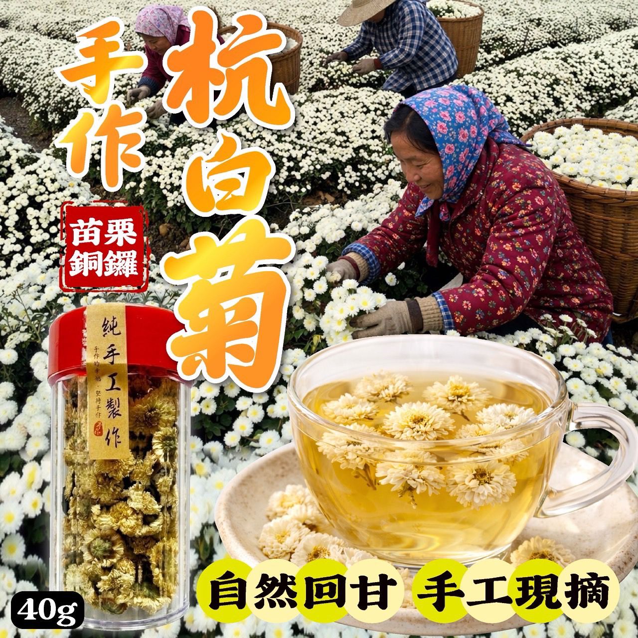 台灣苗栗銅鑼手作杭白菊 40g-預計6月底到貨