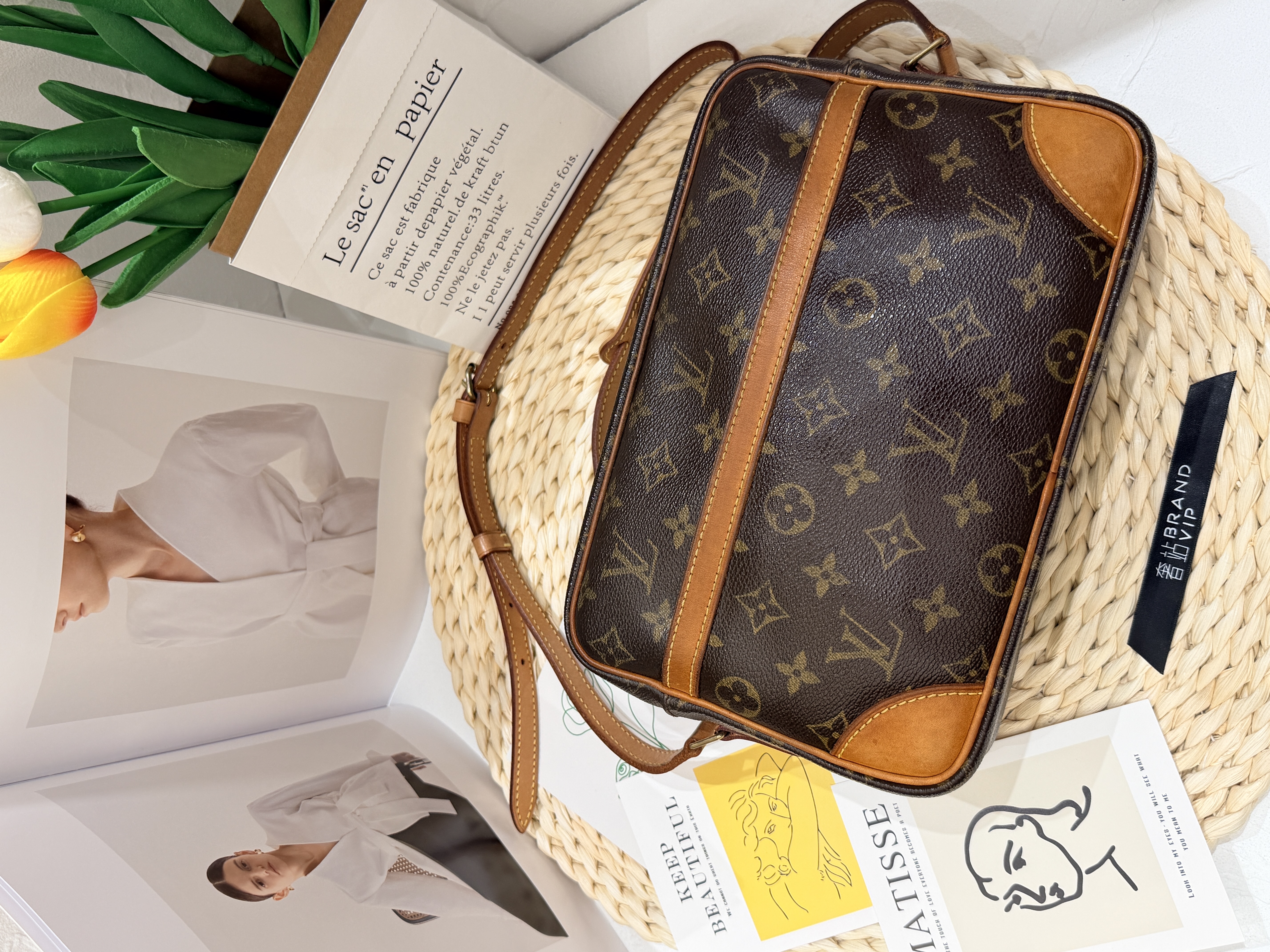 Louis Vuitton Camera Bag