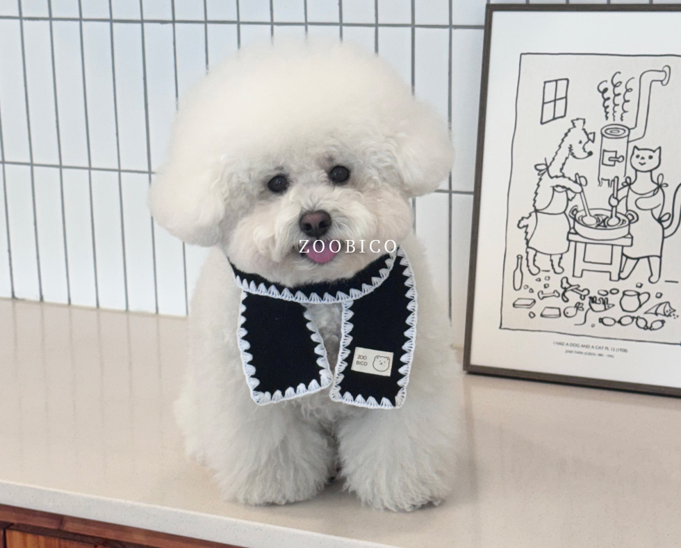 🇰🇷100% 純羊毛冬季暖心圍巾 (主人與毛孩親子組)