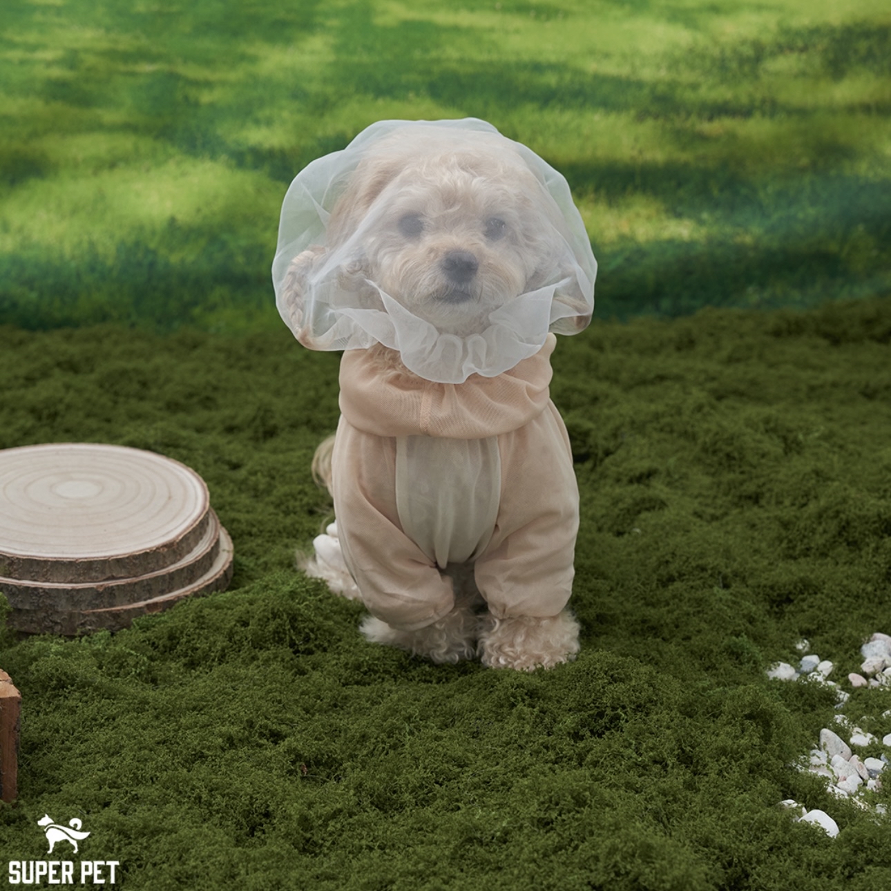 *Super Pet 🇰🇷 狗狗防護面罩 (DG427)