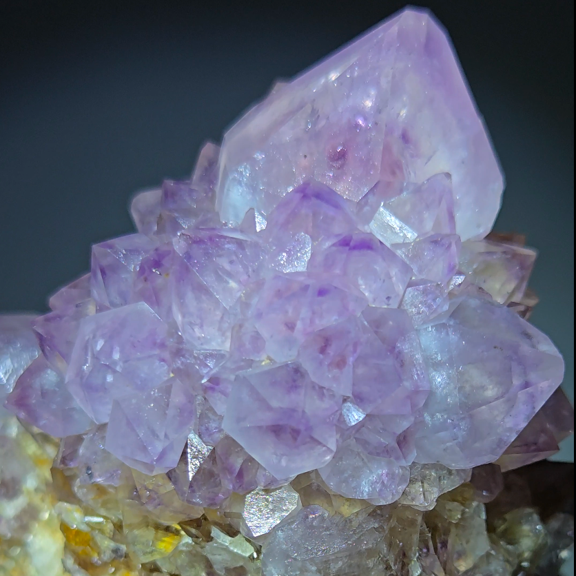 Spirit cactus quartz with rainbows - SPQ12