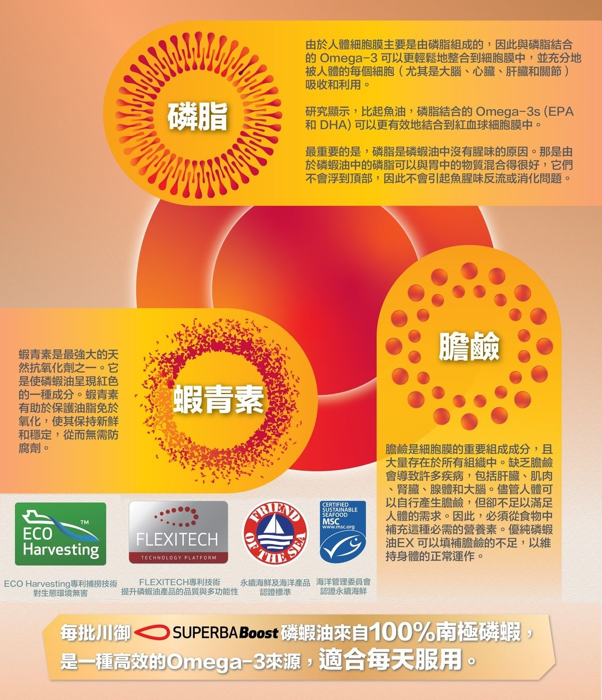 川御 - TY Science 醫學級 南極磷蝦油 (60粒裝) 蝦青素/奧米加3/免疫力/心血管/腦部/關節健康/Omega-3/Antarctica Krill Oil