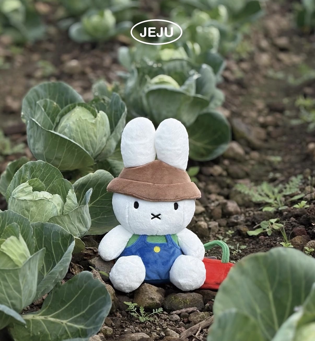 新登場 [韓國直送] Miffy in JEJU 濟州島限定 海女/農夫 公仔/掛件