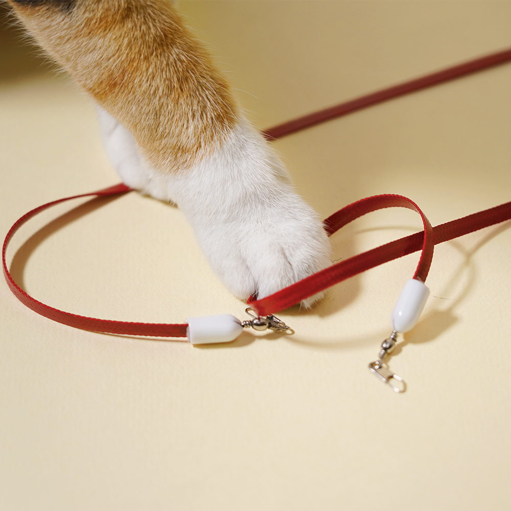 Zooahpet 鮮豔紅尾巴 레드테일 補充貓頭玩具