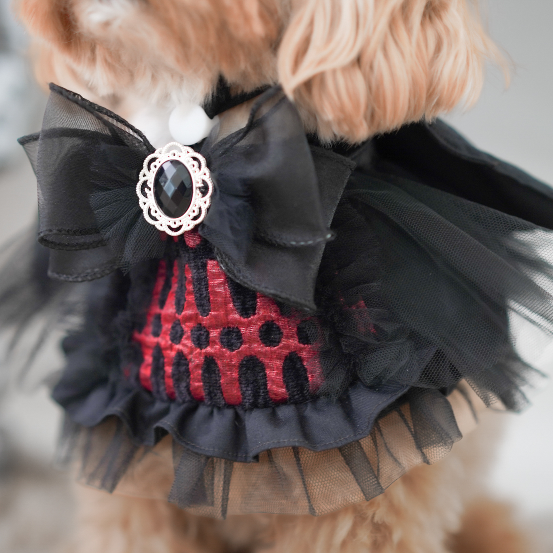 🎃Haunted Castle – Crimson Wing Pet Cape