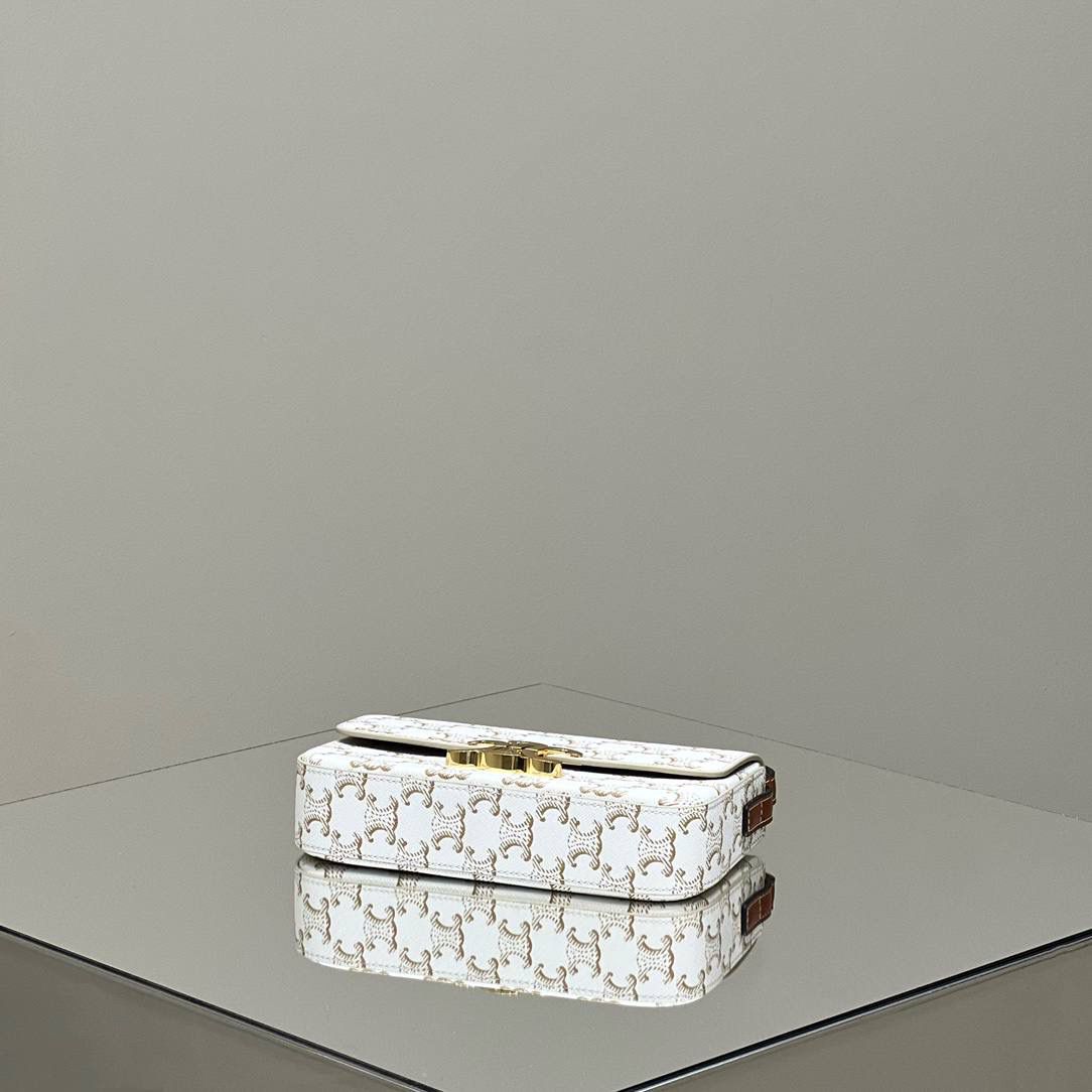 🔥大货实拍图 𝗖𝗘𝗟𝗜𝗡𝗘 ♥ 𝗧𝗥𝗜𝗢𝗠𝗣𝗛𝗘 𝗦𝗛𝗢𝗨𝗟𝗗𝗘𝗥 𝗕𝗔𝗚 型号：194142 尺寸：20*10*4cm