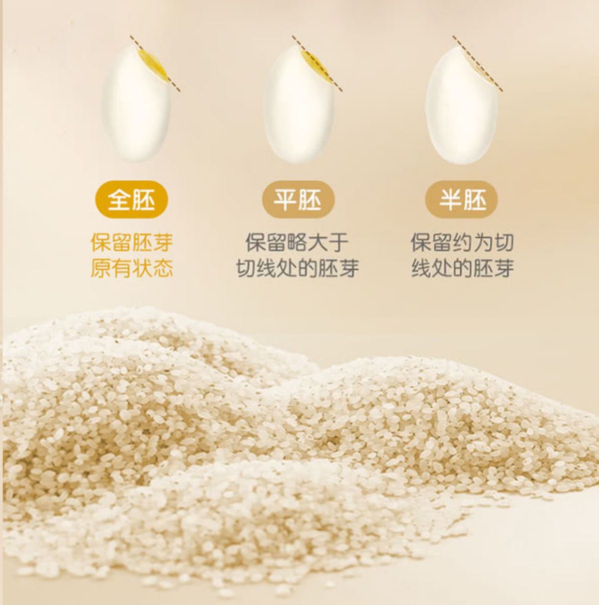 金龍魚 免淘洗胚芽米 5kg (1.25kg*4包) *新包裝 平行進口