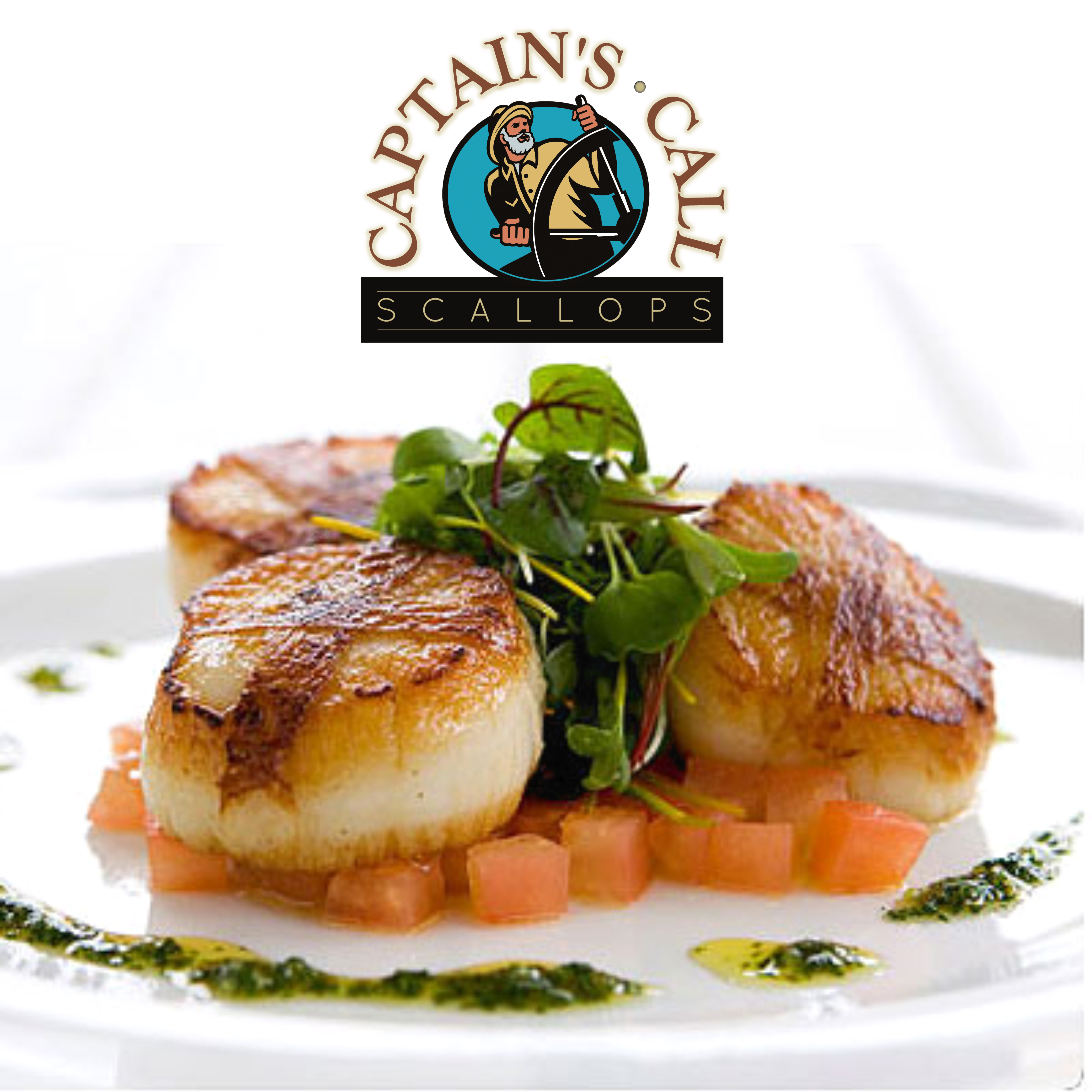 ❄️美國 野生帶子 U.S. Captains Call Wild Caught Scallops 
