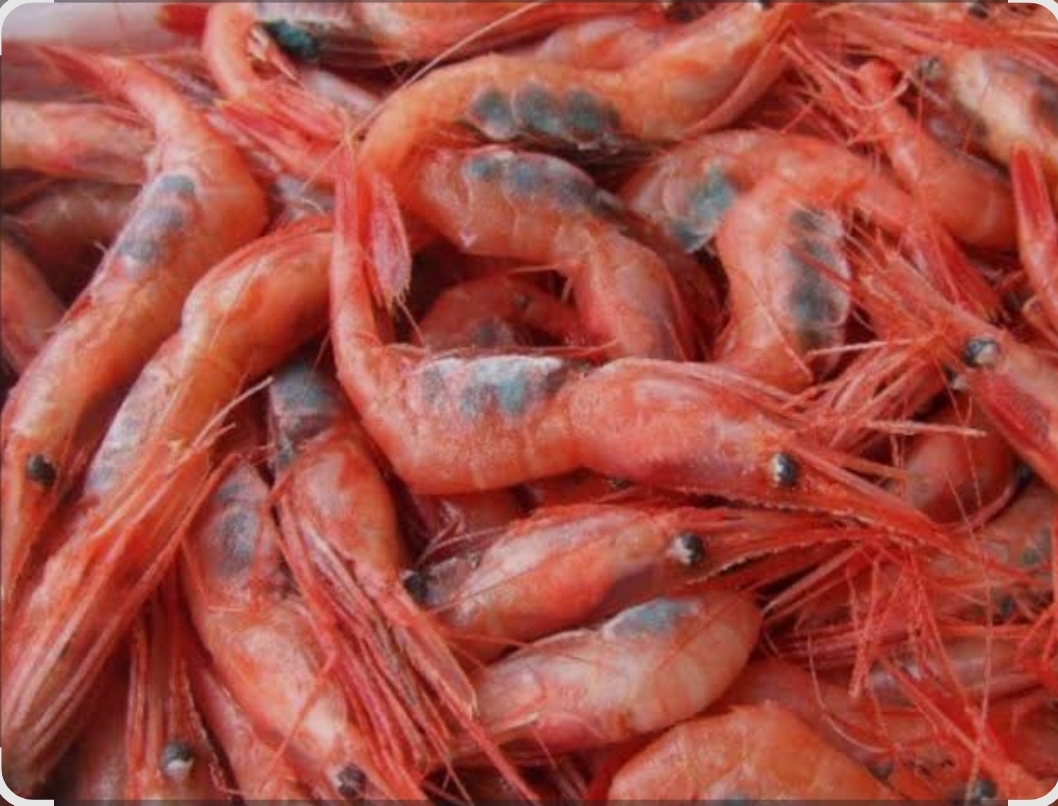 🇷🇺俄羅斯甜蝦🦐 2L, 3L 1kg 包裝