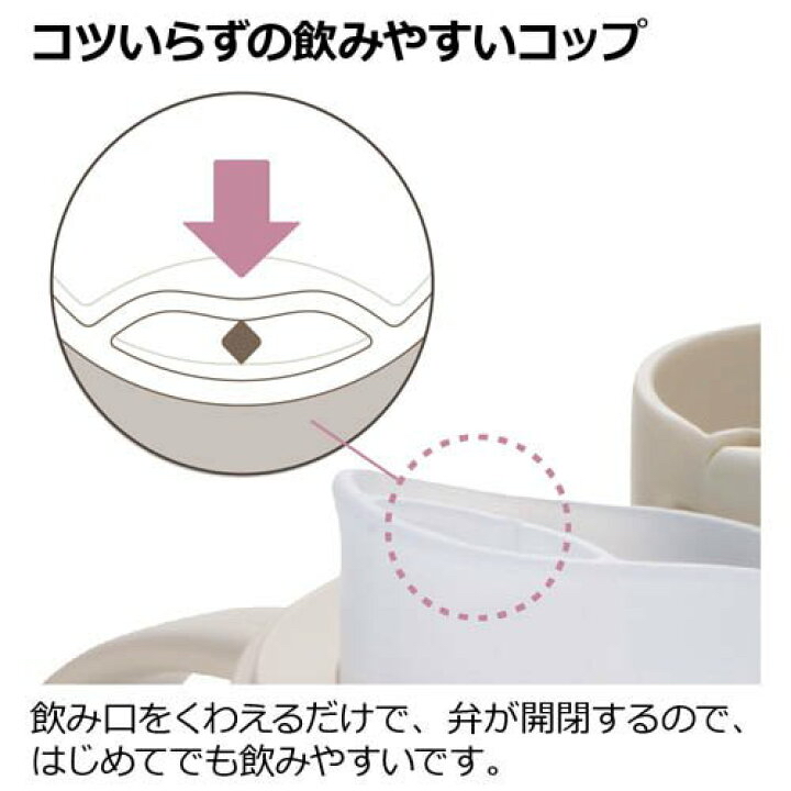 現貨🇯🇵Richell T.L.I 直飲不鏽鋼杯300ml (獅子)