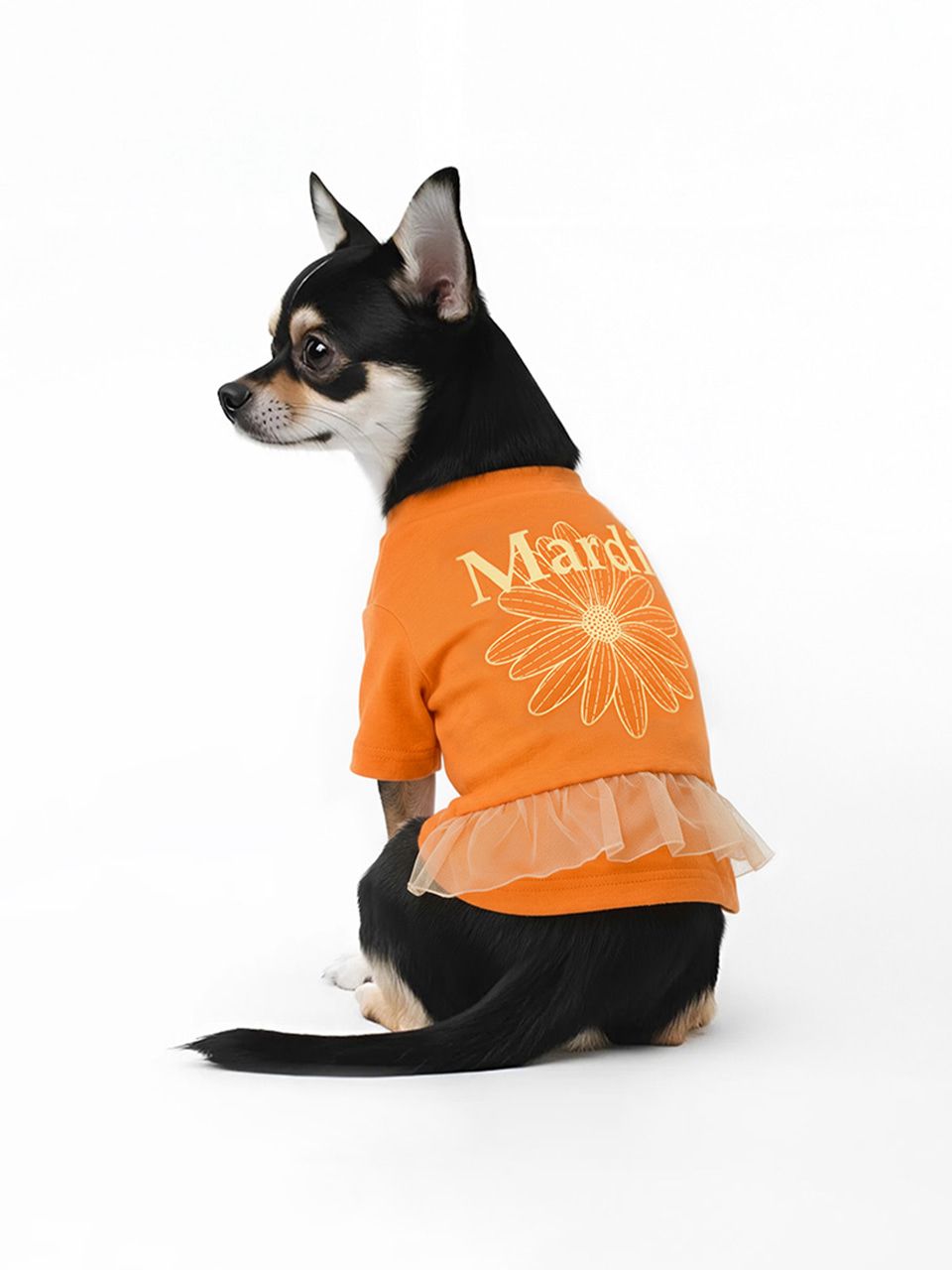 🇰🇷Mardi Mercredi🇰🇷🆕2026年最最新款🐶狗仔T恤