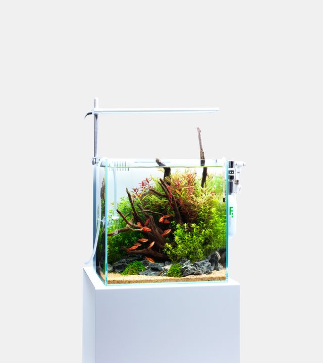 DOOAライト　ソルスタンドRGB 30cm ADA LAB SOL STAND RGB | PRODUCTS | DOOA