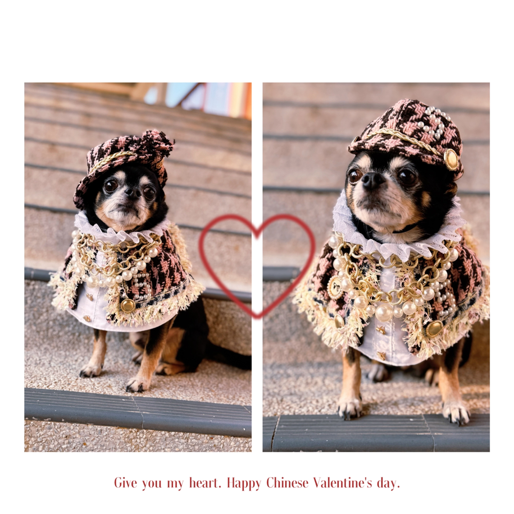 寵物原創設計 低調奢華小香風 寵物頸飾